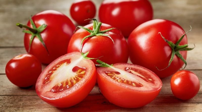 Cultivo Orgânico de Tomate, Pimentão, Abóbora e Pepino