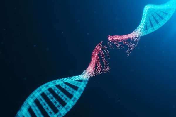 Glifosato provoca alterações no DNA