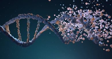 Glifosato provoca alterações no DNA