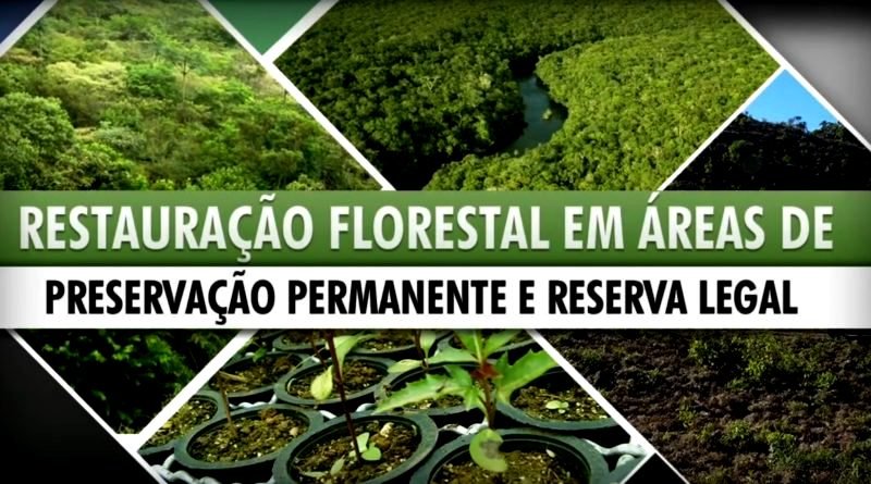 Restauração-Florestal-Capacitação-Online