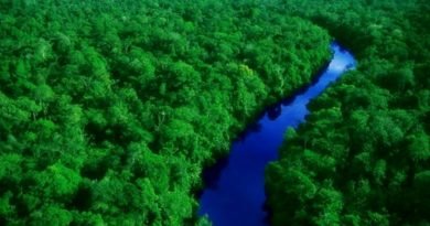 A Amazônia é N.O.S.S.A.jpg nf