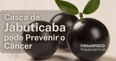 Casca de Jabuticaba pode Prevenir o Câncer