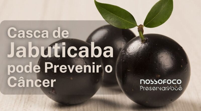 Casca de Jabuticaba pode Prevenir o Câncer