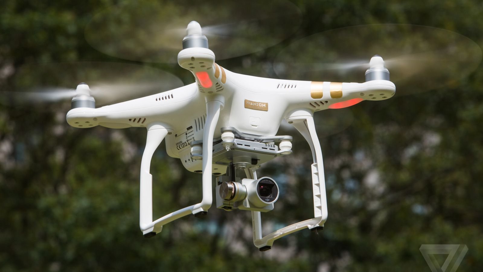 Drones para Reflorestamento