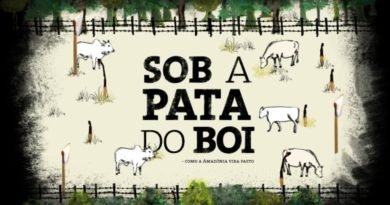Filme mostra ligação entre a pecuária e o desmatamento na Amazônia