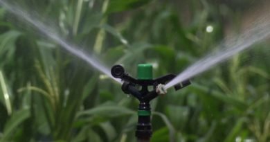 Manejo de Irrigação - Quando e Quanto Irrigar