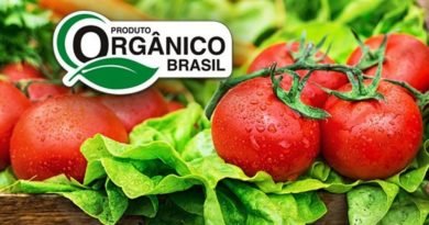 novas regras para venda direta de produto orgânico