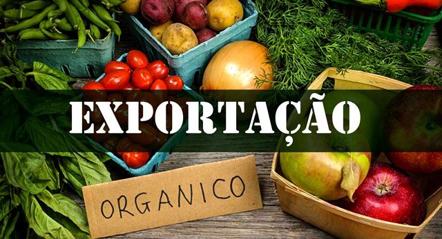 Brasil lidera mercado de orgânicos na América Latina