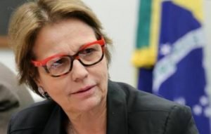 Clima do Brasil não é favorável a Orgânicos 