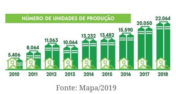 Brasil Triplica Número de Agricultores Orgânicos