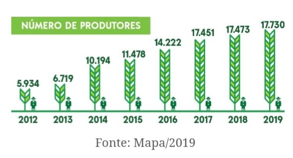 Brasil Triplica Número de Agricultores Orgânicos