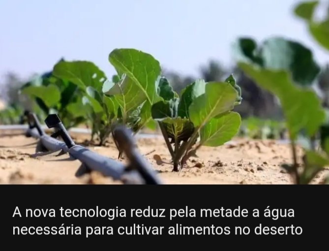 Agricultura no Deserto