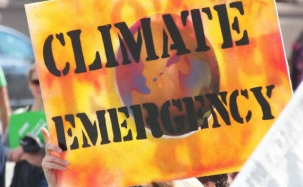 11.000 Cientistas Declaram EMERGÊNCIA Climática