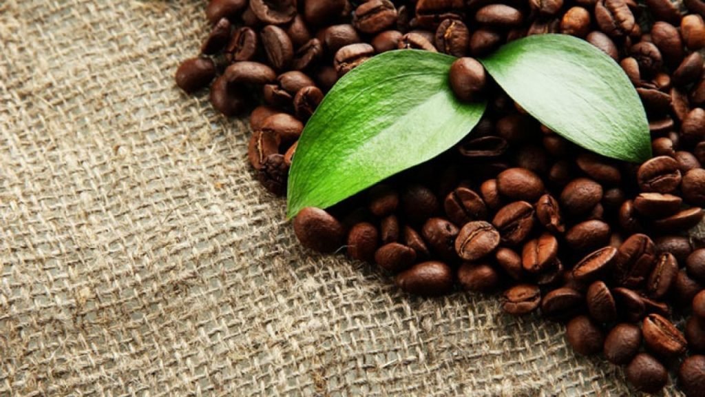 Café Orgânico e Sustentável pelo Brasil