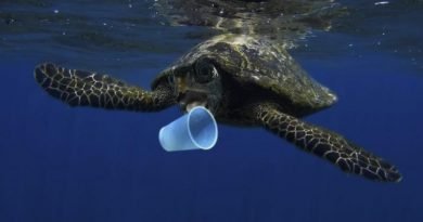De Quem é a Culpa do Lixo Plástico no Oceano