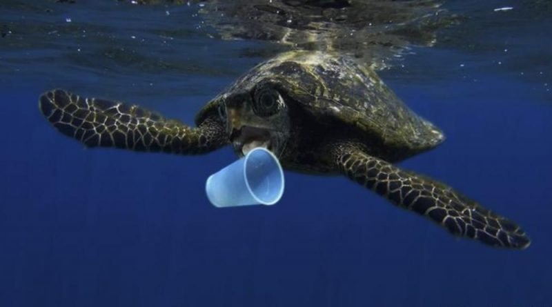 De Quem é a Culpa do Lixo Plástico no Oceano