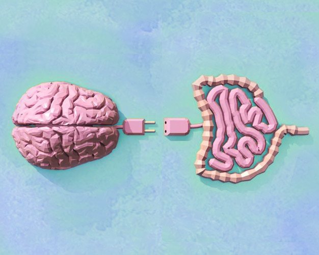 Conexão Intestino Cérebro