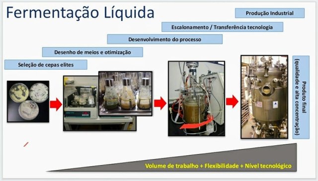 Expansão da Indústria de Defensivos Biológicos no Brasil