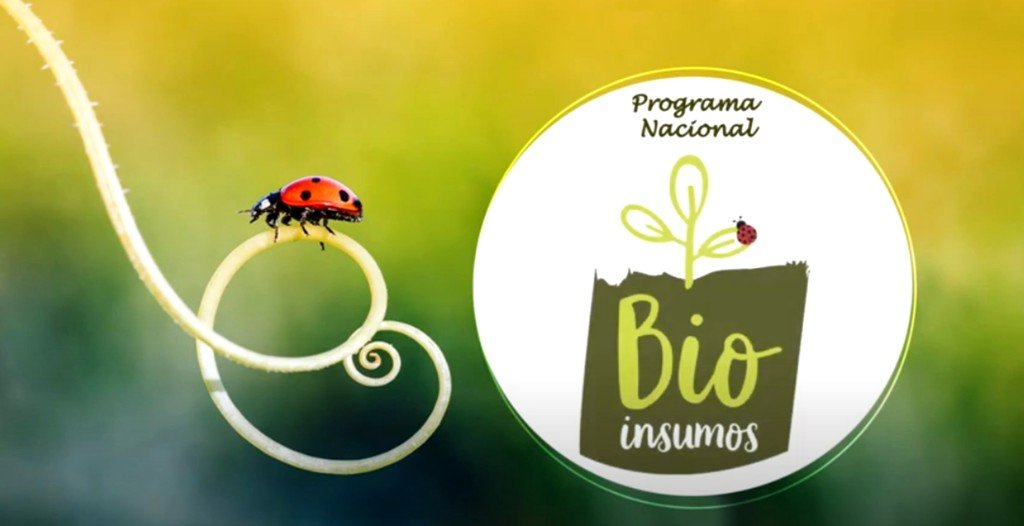 Programa Nacional de Bioinsumos
