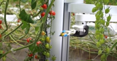 Robô Usa Inteligência Artificial para Colher Tomates