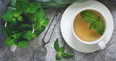 12 Benefícios do Chá e Extrato do Hortelã-Pimenta