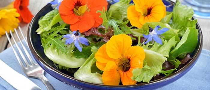 11 Flores Comestíveis Excelentes para a Saúde