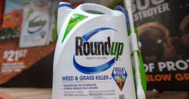 17 Produtos Terríveis e Tóxicos da Bayer e da Monsanto