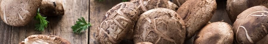 Cogumelos Shitake Fazem Maravilhas à Saúde