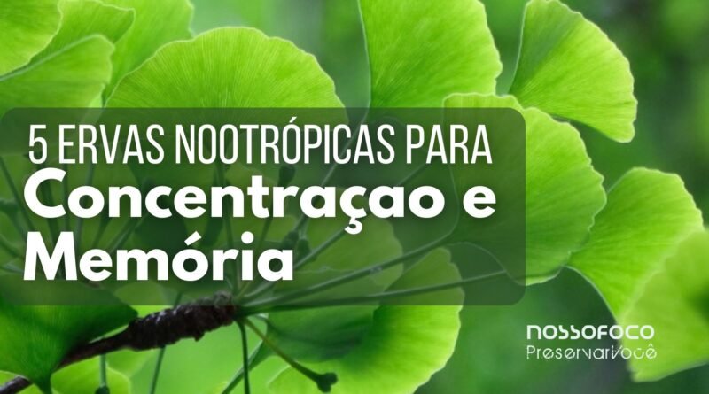 5 Ervas Nootrópicas para Turbinar a Memória e a Concentração