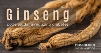 Ginseng pode Ajudar a reduzir o Diabetes